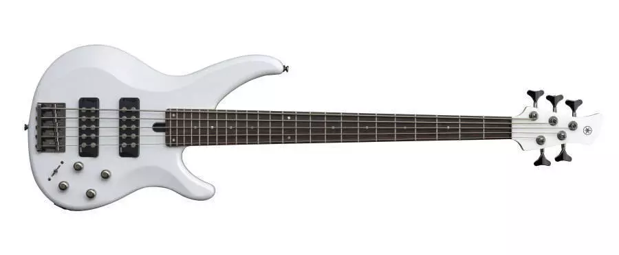 300 Series 5 String Bass Guitar - White